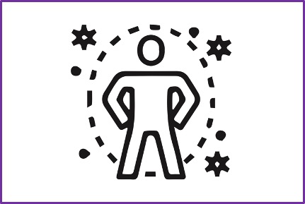 Homo sapiens / Immune System Model